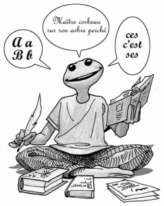 Pidapi V6 : la grenouille du français