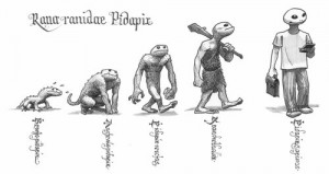 Pidapi V7 et Darwin: l'évolution de la grenouille Pidapi