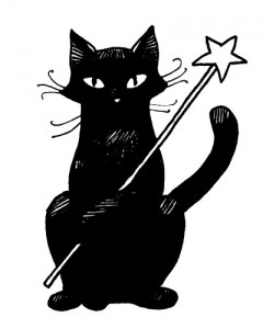 chat noir magique