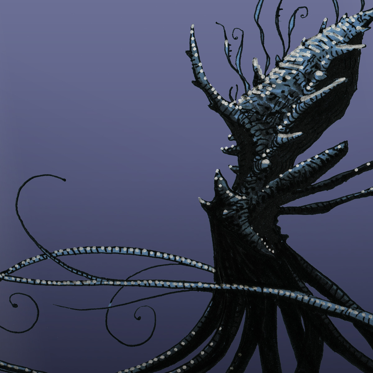 Pieuvre-Kraken II - détail